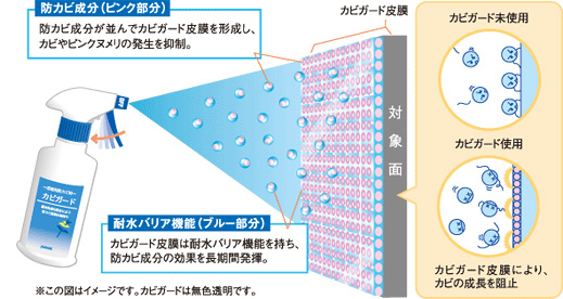 カビガード仕組み.jpg