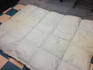 7338_羽毛布団全体.JPG