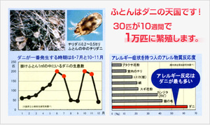 ふとんはダニの天国です.jpg