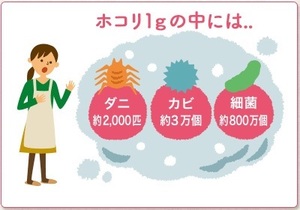 ホコリ１ｇの中には.jpg