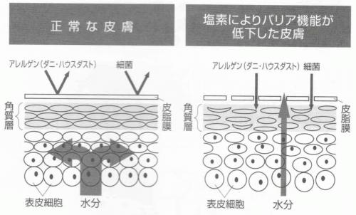 残留塩素の肌への影響 (2).jpg