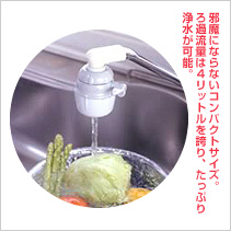 おいしい水プチ 2