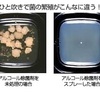 食中毒予防に　食品添加物100％の「アルコール除菌剤」