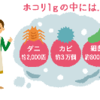 要注意！秋はハウスダストが1年で1番多い時期。<br>   　～カッコイイ(!?)　モップ二刀流のススメ～