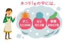 要注意！秋はハウスダストが1年で1番多い時期。<br>   　～カッコイイ(!?)　モップ二刀流のススメ～