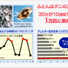 汗くさいふとん、本当に怖いのは？<br>  ～梅雨時期の「ふとん丸洗い」をオススメするワケ～