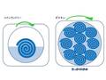 ふとん洗い　コインランドリー VS ダスキン