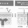 浄水シャワーで家族の肌と髪を守る！