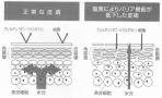 浄水シャワーで家族の肌と髪を守る！