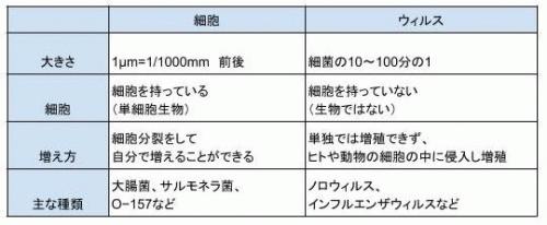 細菌とウィルスの違い.jpg