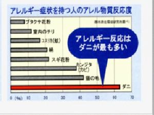 アレルギー症状を持つ人のアレル物質反応度.jpg