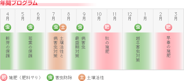 年間プログラム