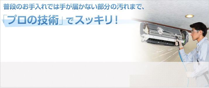 普段のお手入れでは手が届かない部分の汚れまで、「プロの技術」でスッキリ！