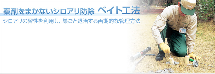 薬剤をまかないシロアリ防除「ベイト工法」